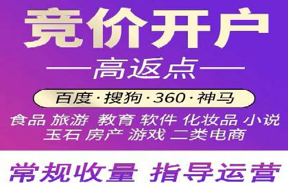 信息流广告代理项目案例分析